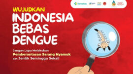 Indonesia Dorong Strategi Regional ASEAN Tekan Kasus Demam Berdarah Secara Masif