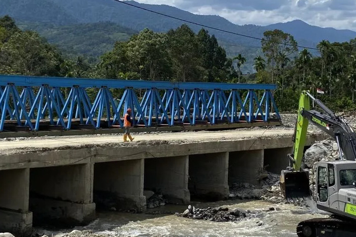 Jembatan di Desa Bener Berpapah, Kecamatan Ketambe, Aceh Tenggara, Aceh, 