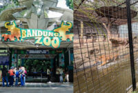 Kebun Binatang Bandung
