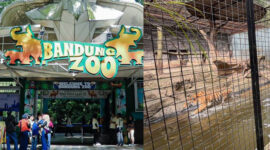 Kebun Binatang Bandung