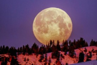 Flower Moon 2 Mei