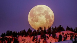 Flower Moon 2 Mei